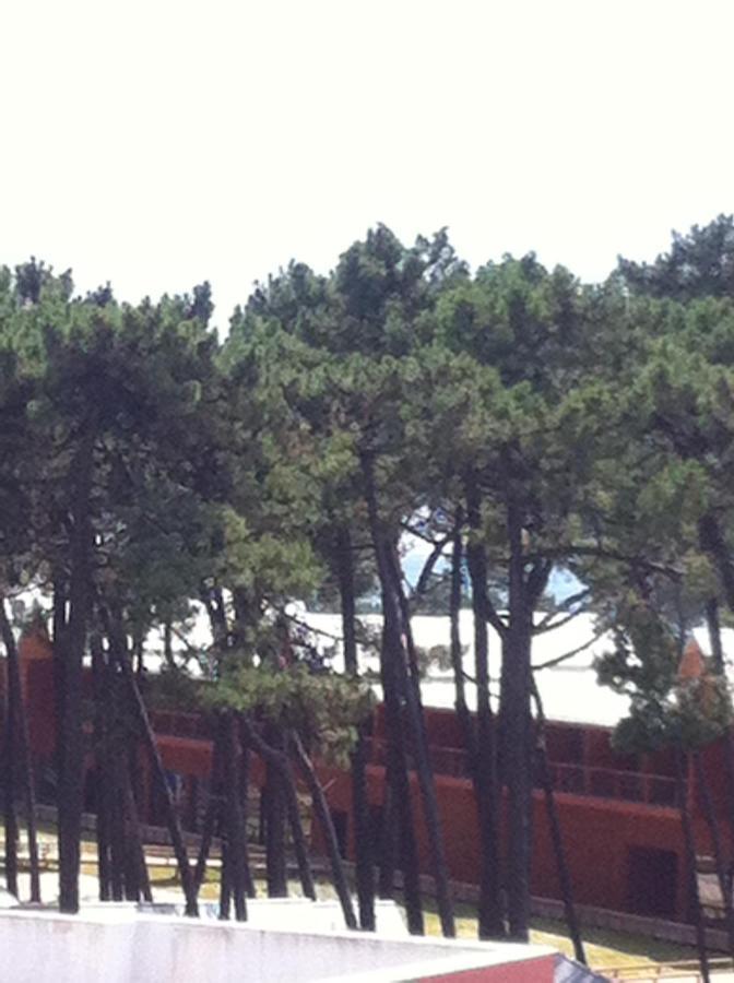Beach House Cabedelo Viana do Castelo Exterior foto
